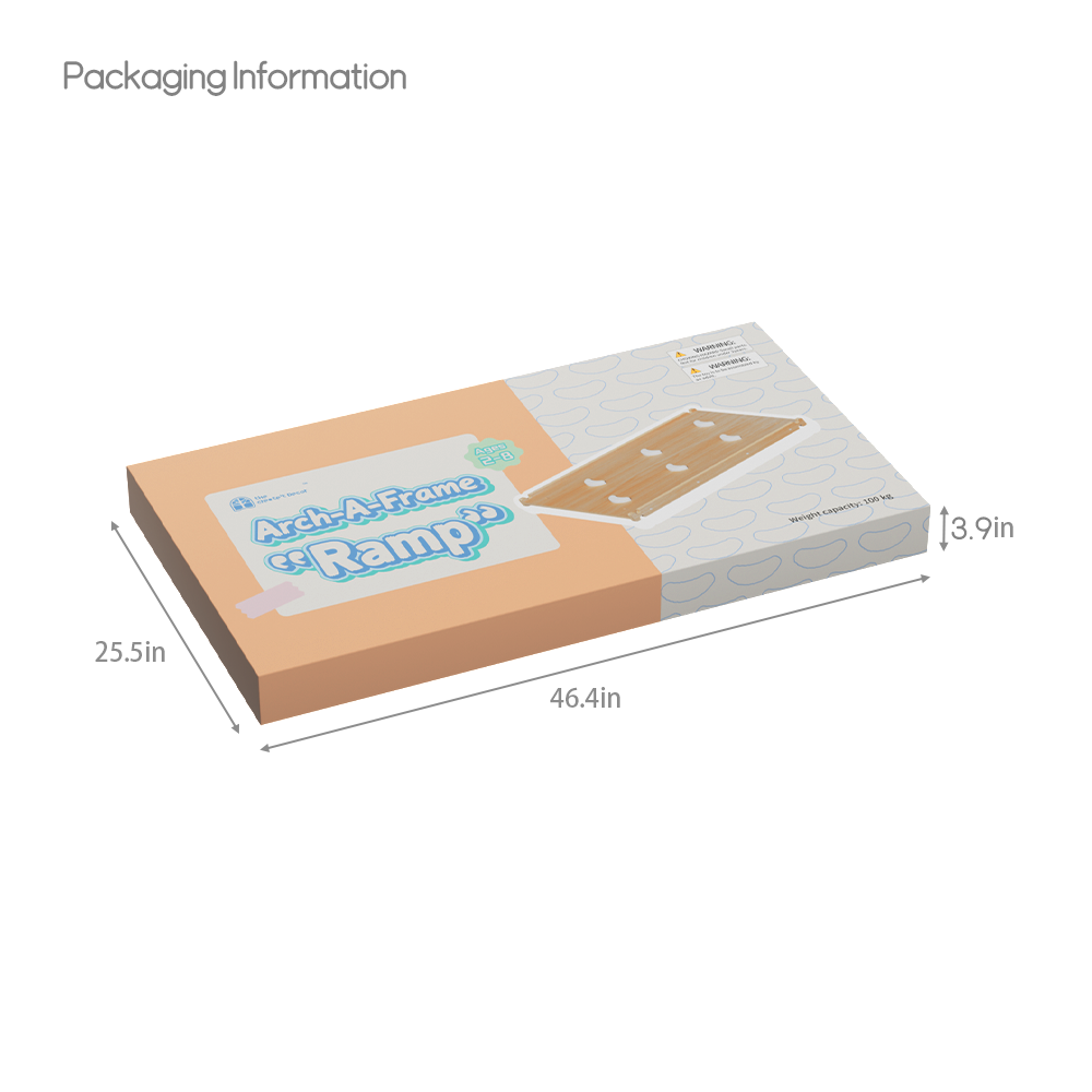 AAF 2-in-1 Reversible Slide and Climbing Ramp